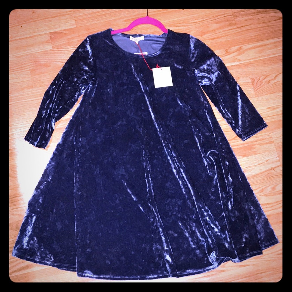 🦋 NWT Blue Velvet Dress